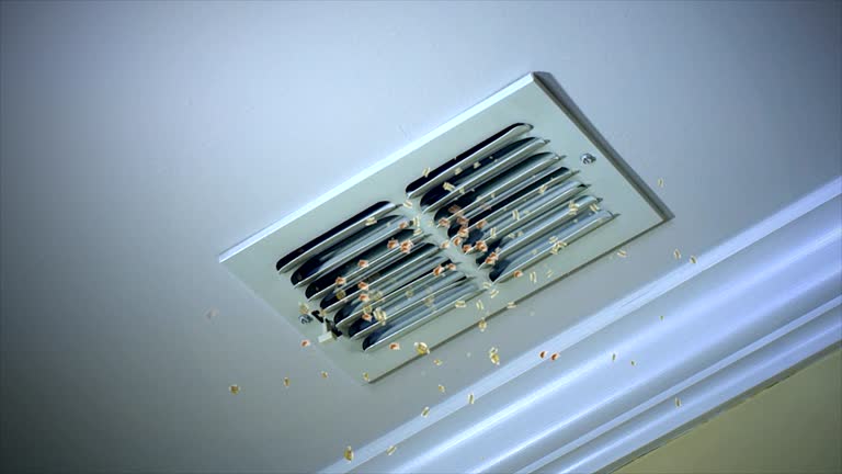 Best Best Air Duct Cleaning Company  in Forest Hills, MI