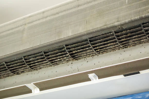 Best Commercial HVAC Duct Cleaning  in Forest Hills, MI